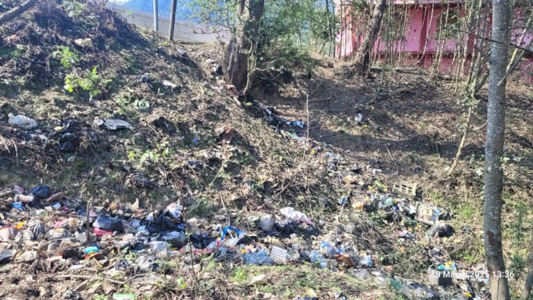 Garbage Problem in Ziro: A Shared Responsibility