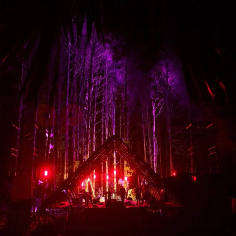 Ziro Festival 2025: Discover New Music, Celebrate Sustainability in the Heart of Arunachal Pradesh