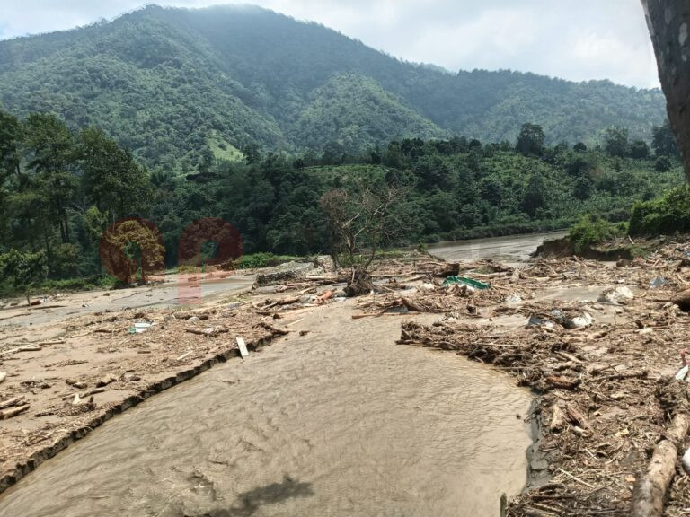 Serving Humanity Amid Disaster